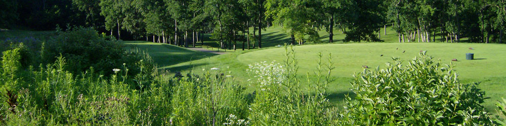 Lake Geneva Wisconsin Real Estate